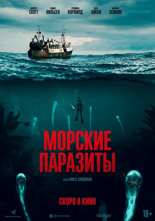 ֢