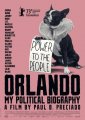 《奥兰多：我的政治传记》