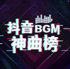《2023年1-12月抖音热门BGM音乐合集汇总》