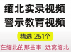 《缅北实录视频素材,警示教育精选视频:缅北的那些事真实经历》