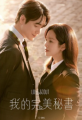 《我的完美秘书》