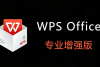 ������ WPS 2025 רҵ����ǿ�棬����������Ȩ��