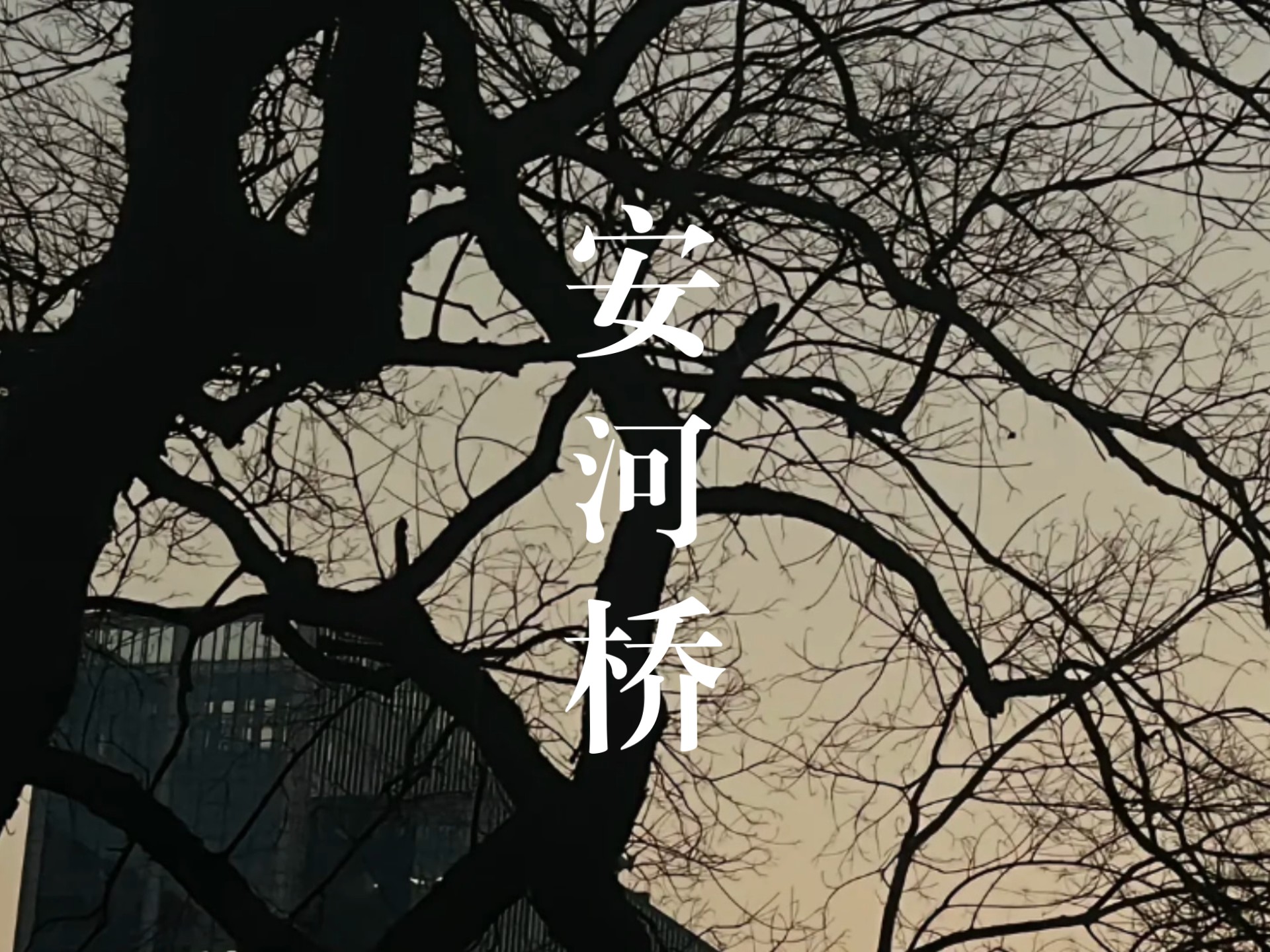 �ζ�Ұ �������š� ����ĸ�� ����ԭץ WAV/CUE