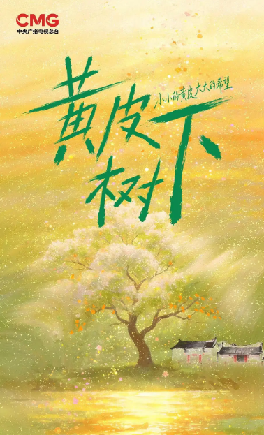 黄皮树下